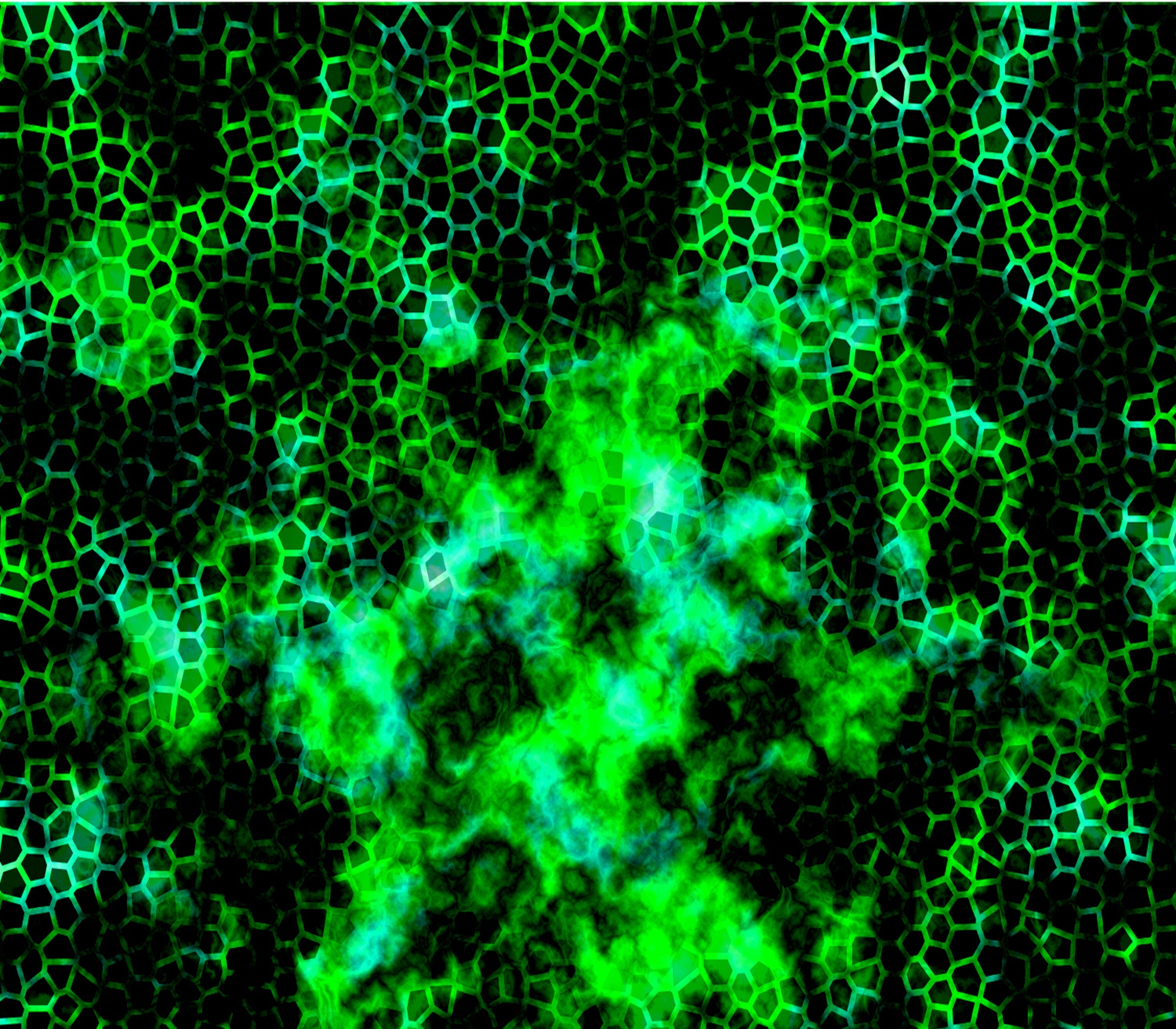 Cytoplasm